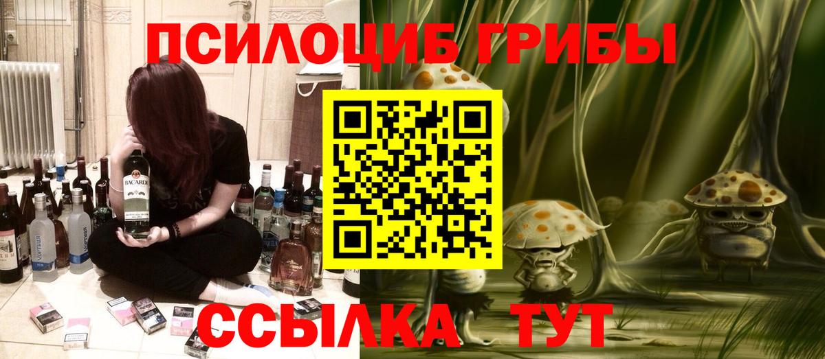 Карталы  Галлюциногенные грибы Psilocybine cubensis  Вход с VPN  Псилоцибиновые грибы MAGIC MUSHROOMS 