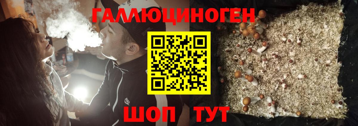 Галлюциногенные грибы GOLDEN TEACHER Карталы